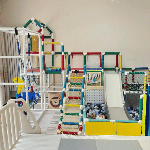 What Is an Indoor Jungle Gym? Home Toy vs Commercial Venue Definition