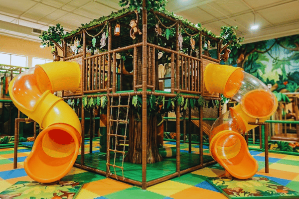 Treehouse Platform with Slide