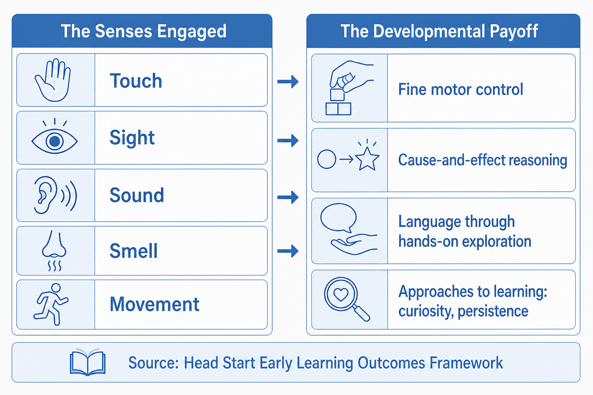 What Is Sensory Play and Why It Matters for Preschoolers — Didi Land